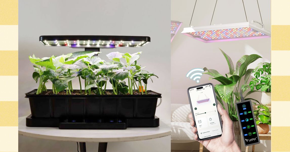 The Best Plant and Gardening Gifts From LetPot (2025)