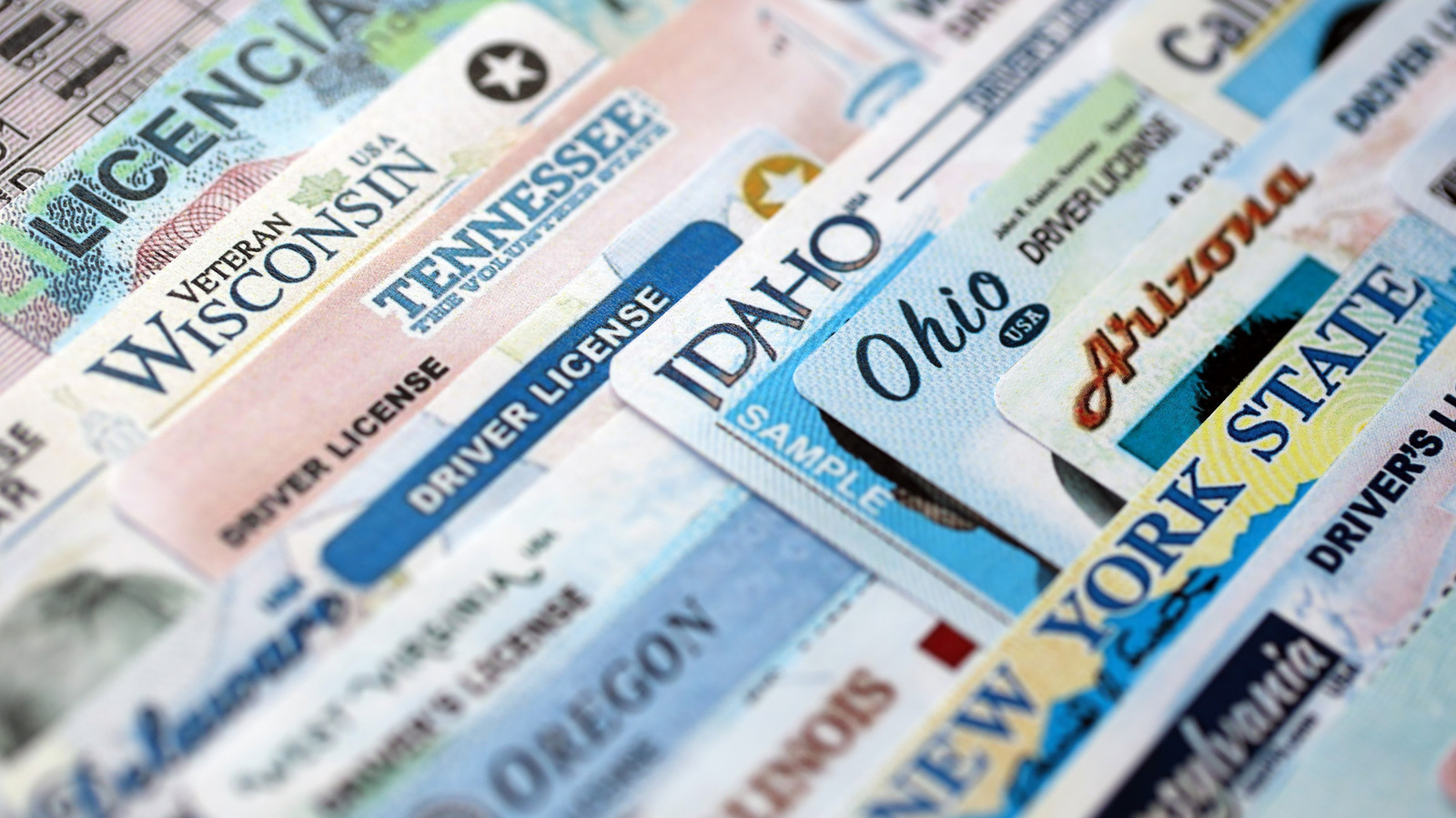 IDScan Is Offering Free Credit Monitoring And ID Protection After Leaking Driver's Licenses
